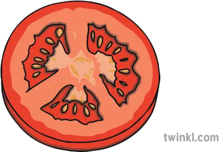 Tomato Slice Illustration Tomato Slice Clipart Png Tomato Slice Png