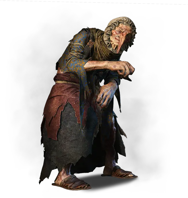 Pictures Of Witch Witcher 3 Wicked Witch Transparent Wiedzma Transparent Png Witcher 3 Png