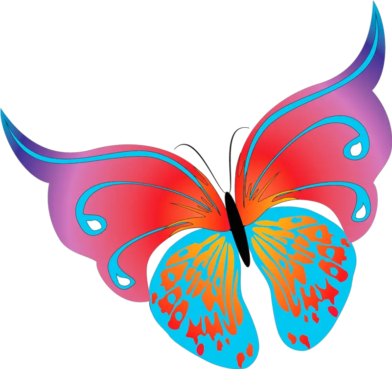 Painted Butterflies Png 26568 Free Icons And Png Backgrounds Butterflies Clipart Butterflies Png