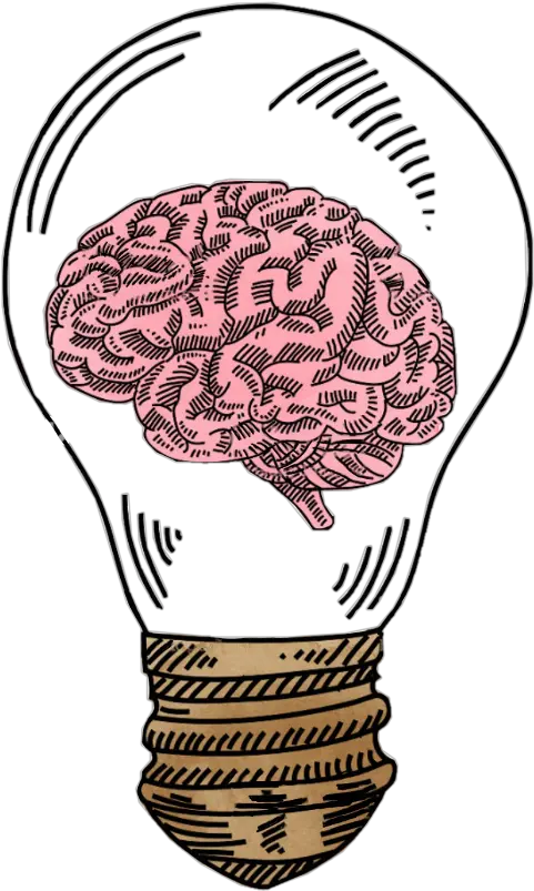 Draw Bulb Brain Transparent Cartoon Brain Drawing Cartoon Png Brain Transparent Image