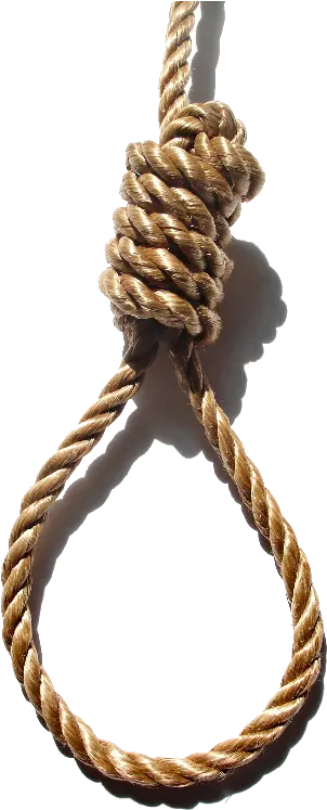 Rope Knot Hanging Noose Grass Clipart Rope To Hang Yourself Png Rope Knot Png