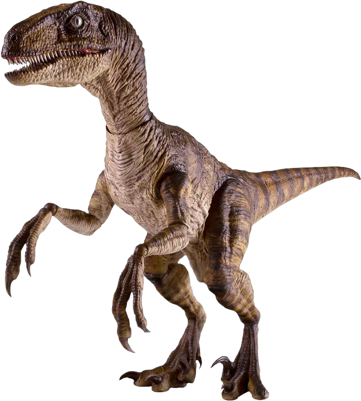 Jurassic Park Velociraptor 16th Scale Action Figure By Jurassic Park Velociraptor Png Velociraptor Png