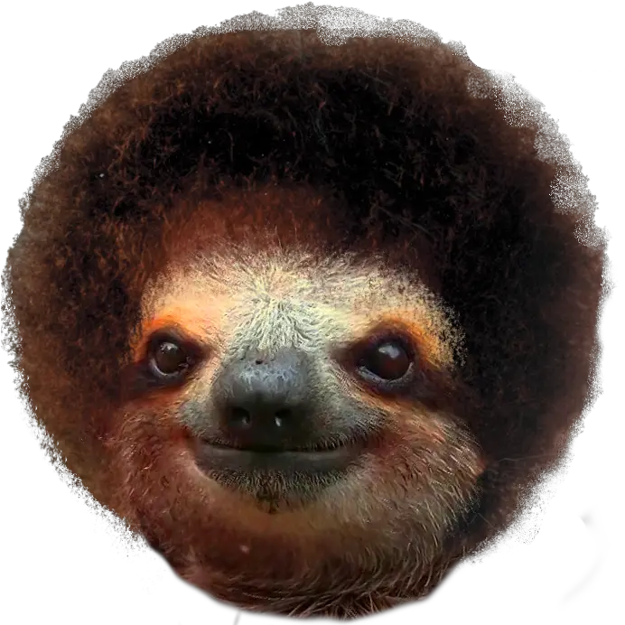 Sloth Ross Bob Ross And Sloths Full Size Png Download Png Sloth Sloth Png