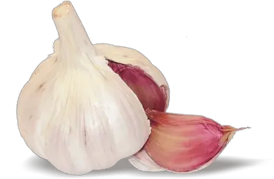 Garlic Wedge Transparent Png Cebolla Y Ajo Png Garlic Transparent Background