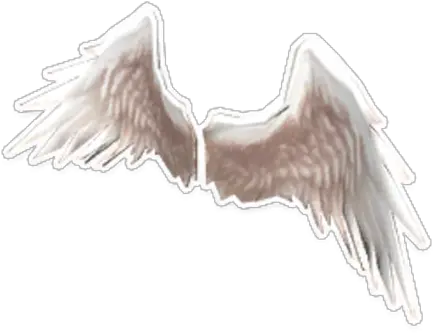 Angel Wings Fictional Character Png Angels Wings Png