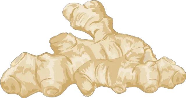 Ginger Clipart Ginger Clip Art Png Ginger Root Icon