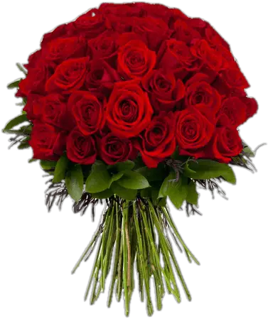 Bouquet Roses Png Images Free Transparent U2013 Red Rose Fresh Flower Bouquet Of Roses Png