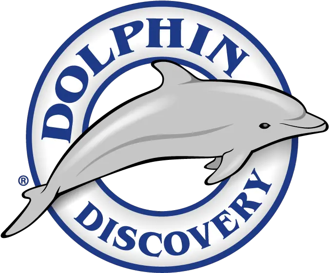 Dolphin Discovery Punta Cana Logo Dolphin Discovery Punta Cana Logo Png Dolphins Logo Png