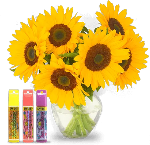 Sunflower Emoji Bay Png Download Original Size Png Artificial Flower Sunflower Emoji Transparent