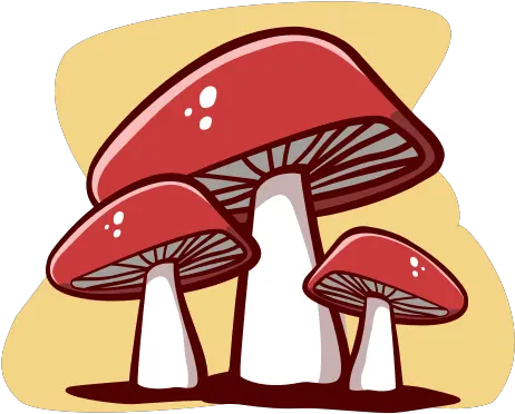 Autumn Cartoon Hand Drawn Mushrooms Nature Outline Mushrooms Cartoon Png Plant Cartoon Png