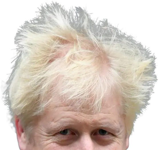 Boris Johnson Hair Show Png Boris Johnson Transparent Background Hair Transparent Background