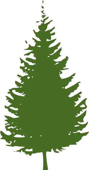 Pine Tree Png Clip Arts For Web Clip Arts Free Png Backgrounds Clipart Black Pine Tree Pine Tree Png
