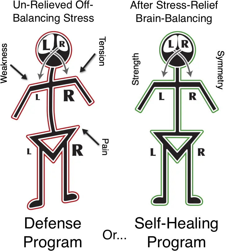 Stick Figures Mr Png Cropped With Labels The Boston Illustration Labels Png