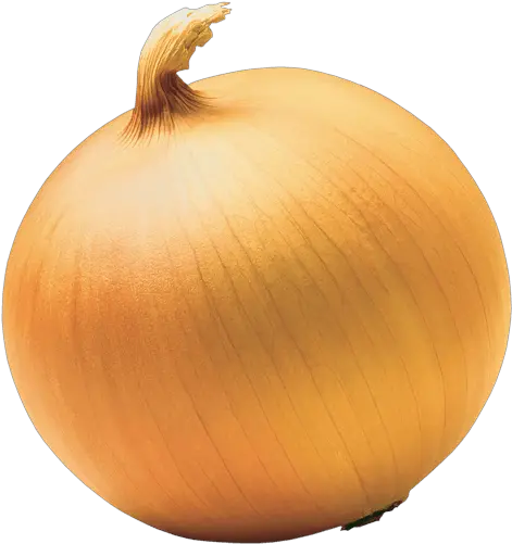 Png Image Download Picture Hq Top Of An Onion Onion Png