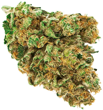 Download Weed Nugget Png Marijuana Bud Png Png Image With Weed Bud Transparent Background Weed Transparent Background