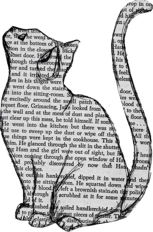 Transparent Quote Newspaper Art Cat Png Tumblr Transparent