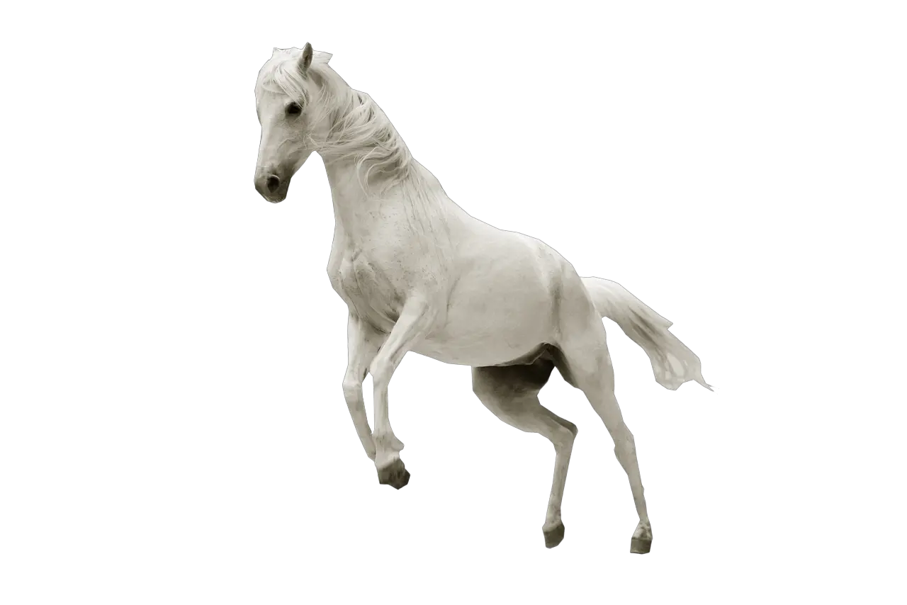 Ftesticker Horse Whitehorse Run Running White Horse Transparent Background Png Horse Running Png