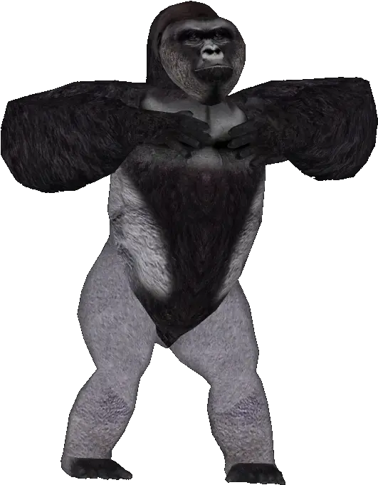 Harambe Transparent Png 8 Image Harambe Transparent Background Png Harambe Transparent