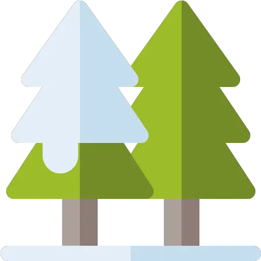 Pine Tree Free Nature Icons New Year Tree Png Pine Icon