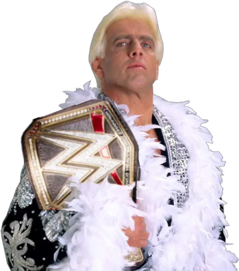 Ric Flair Wwe Png Transparent Shinsuke Nakamura Wwe Champion Flair Png