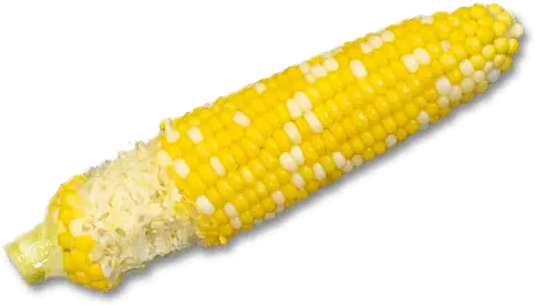 How You Eat Corn Corn On The Cob Eaten Png Corn Cob Png