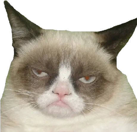 Adubry75 Andrew Dubry Github Soft Png Grumpy Cat Icon