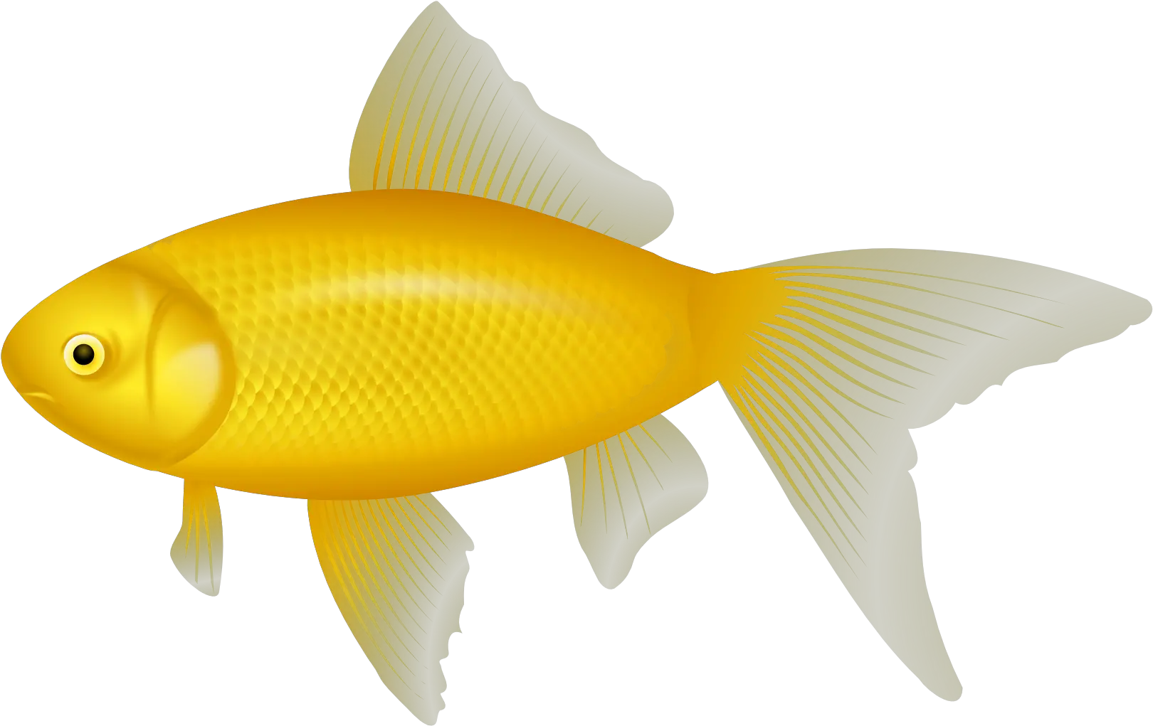 Fish Png Vector