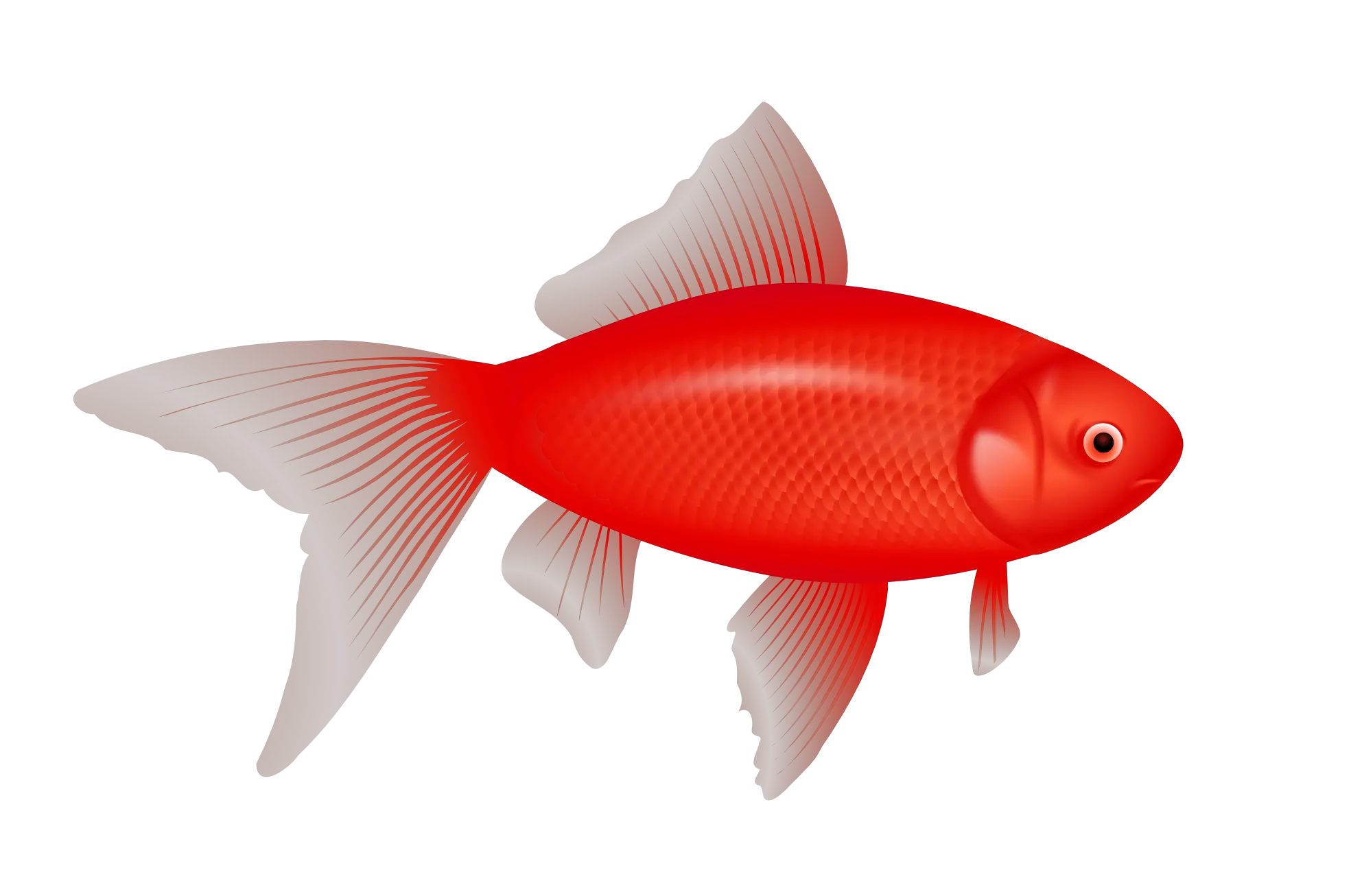 Fish Png Logo