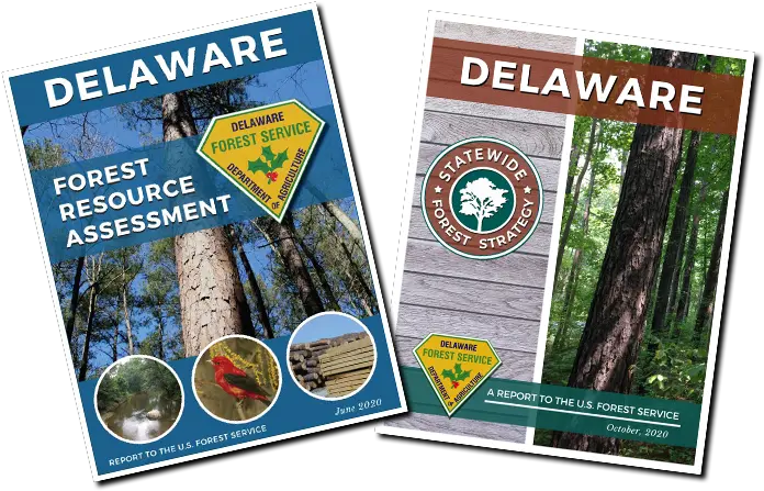 Forest Service Delaware Department Of Agriculture State Book Png Forest Realistic Icon