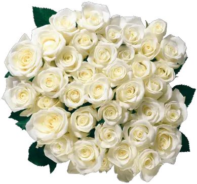 Bouquet Of White Roses Transparent Png White Rose Bouquet Png Rosas Png