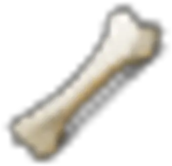 Bone Dead Maze Wiki Fandom Solid Png Bone Icon