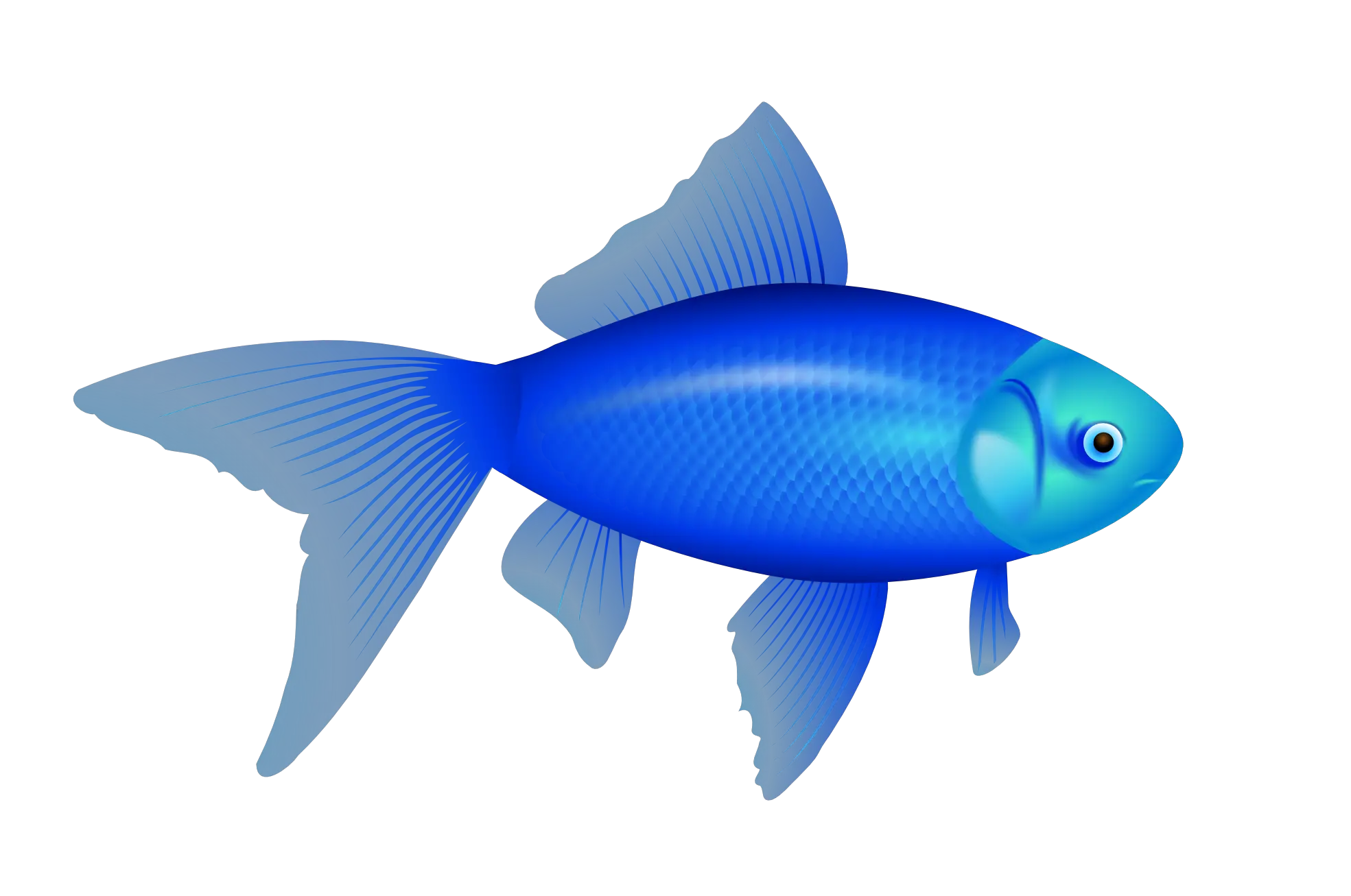 Fish Plate Png