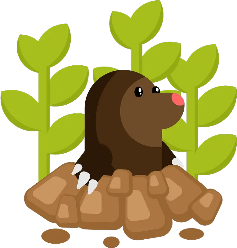 Mole Animal Clipart Free Download Transparent Png Creazilla Mole Clipart Mole Png