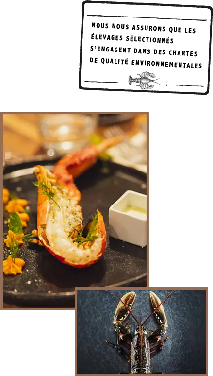 The Restaurant Beef U0026 Lobster Alpine Grill Val Thorens Serveware Png Lobster Png