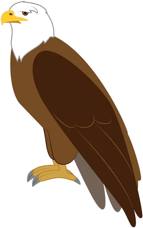 Eagle Clipart Bald Eagle Png Eagle Clipart Png