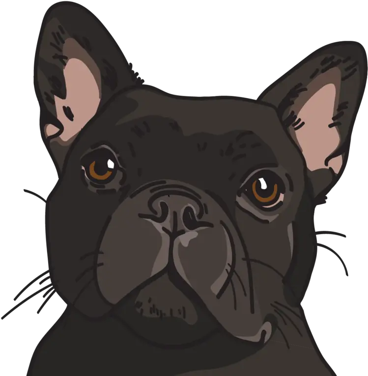 French Bulldog Transparent Png Image French Bulldog Logos French Bulldog Png