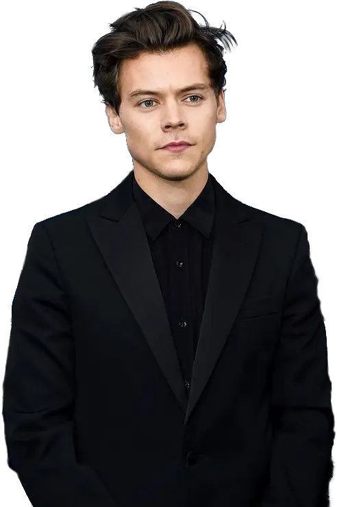 Harrystyles Harrystyles2018 Png Sticker Harry Styles In 1d Harry Styles Png