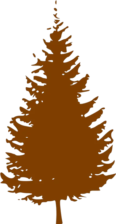 Pine Tree Silhouette Transparent Png Silhouette Christmas Tree Clipart Pine Trees Silhouette Png
