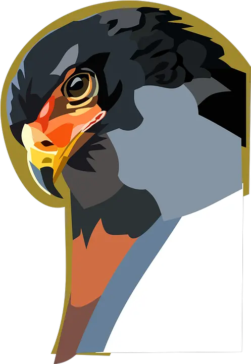 Raptor Animal Bird Digital Golden Eagle Png Raptor Icon