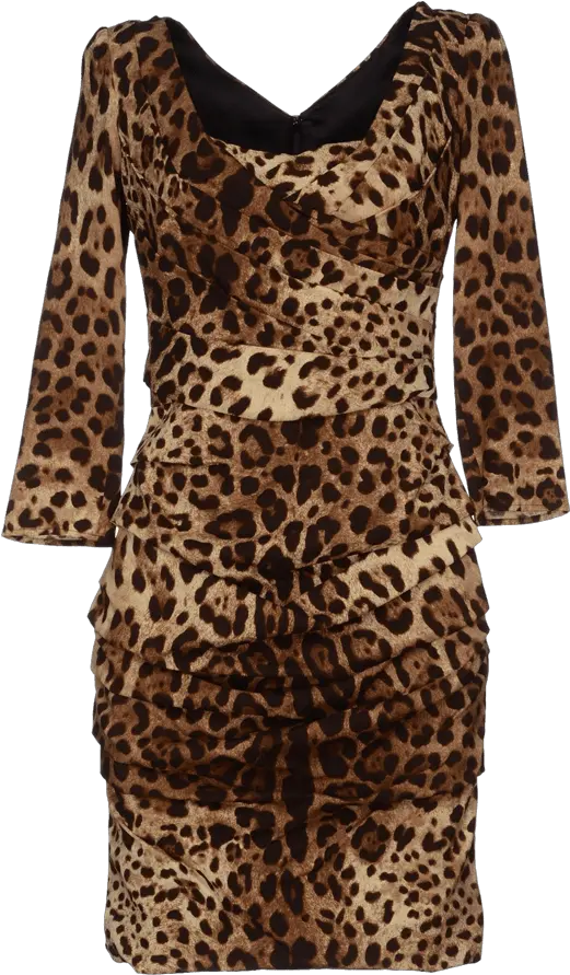 Paula Patton Dolce Gabbana Skin Tight Animal Print Png Leopard Print Png