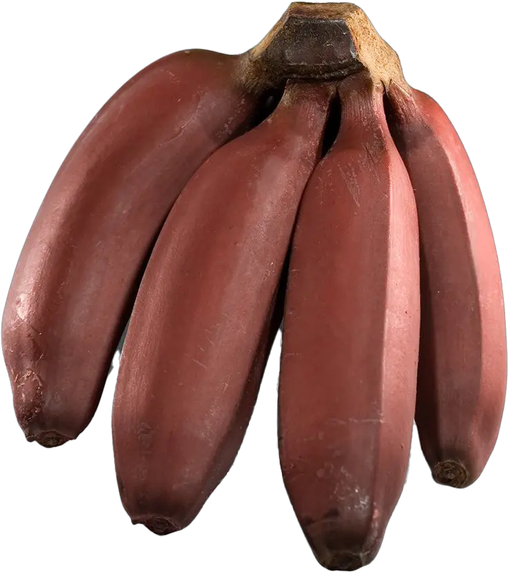 Banana Png Transparent Images Free Download