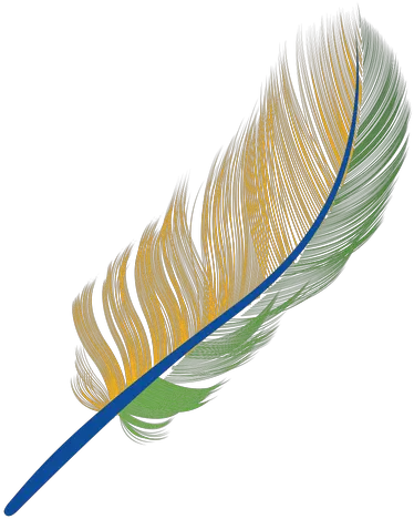 The Best Free Peacock Feather Icon Images Download From 404 Desenho Png Pena Peacock Feathers Png
