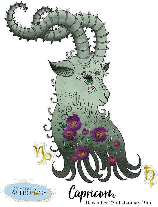 Capricorn Png Transparent Image Capricorn January Zodiac Capricorn Png