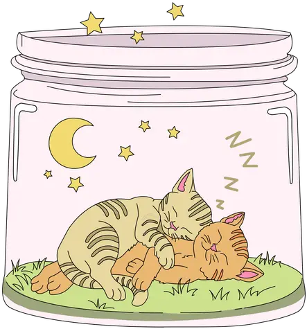 Mason Jar Art Kitten Transparent Png U0026 Svg Vector File Lovely Kitten Transparent