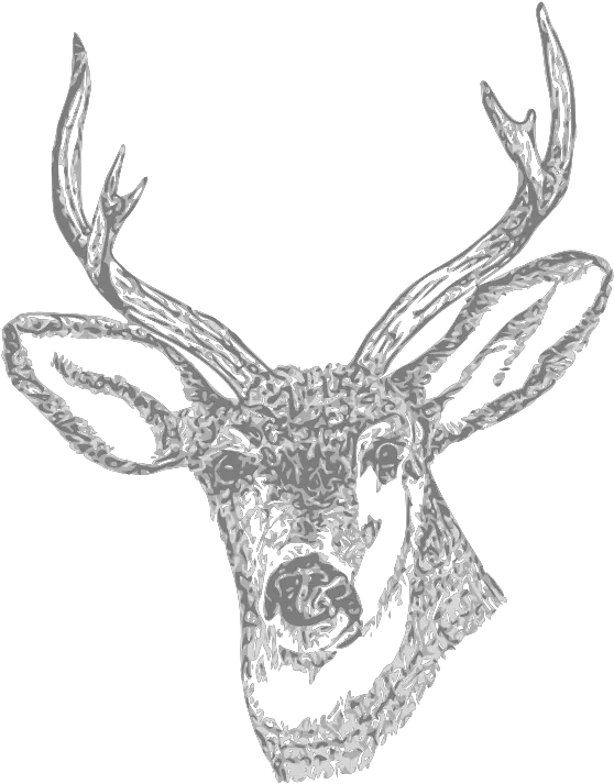 Antler Clipart Transparent Tumblr Hunting Drawings Png Deer Transparent