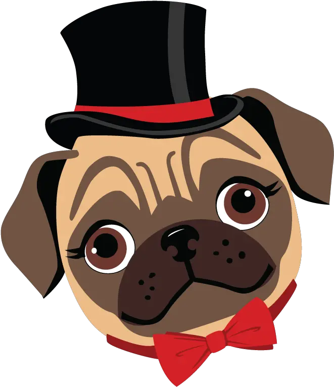 Pug Guide Cartoon Pug Png Pug Face Png