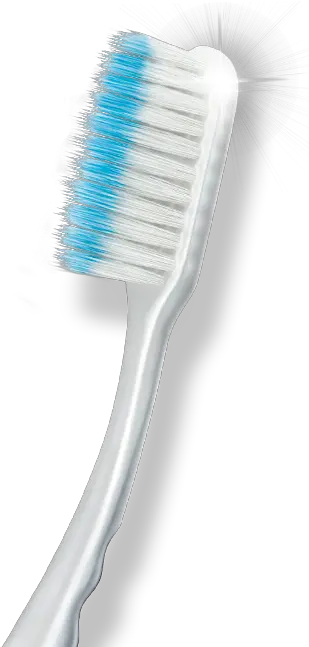 Toothbrush Household Supply Png Tooth Brush Png