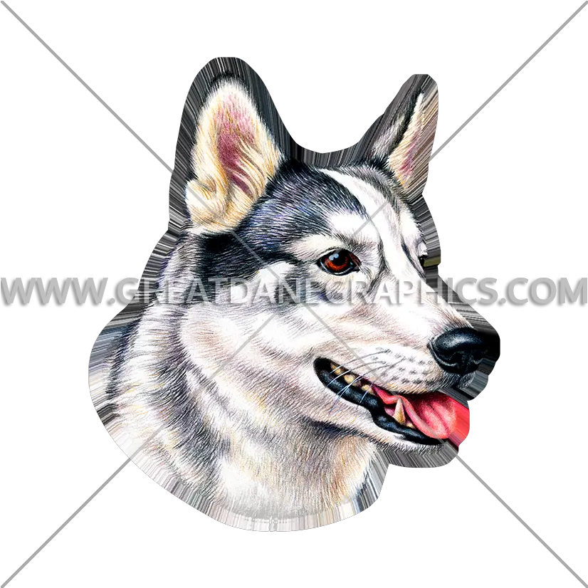 Husky Face Siberian Husky Png Husky Transparent Background