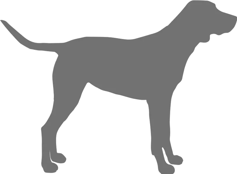 The Good Vet And Pet Guide The Good Vet And Pet Guide Montenegrin Mountain Hound Png Three Dog Night Icon