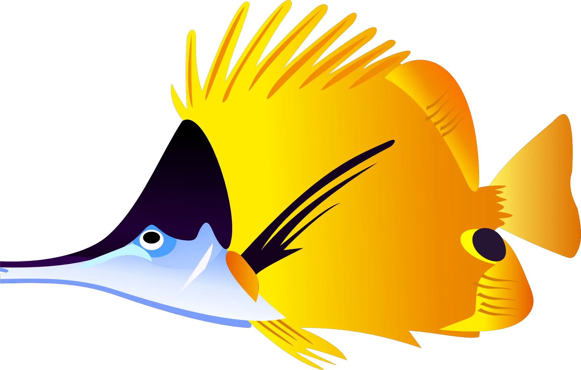 Coy Fish Png